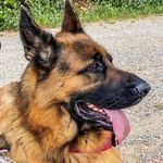 Profile Picture of Daniela Baroni (@daniela.baroni.5891) on Instagram