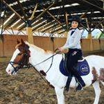 Profile Picture of Tessa (@eequestrianlawyergirl) on Instagram