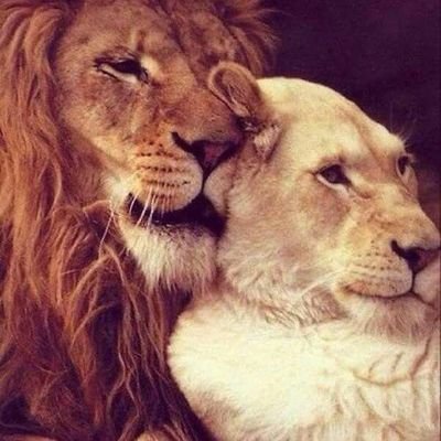 Profile Picture of Cedric Nicholas (@Cedonick) on Twitter