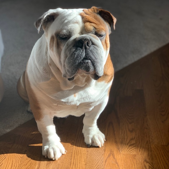 Profile Picture of Kevin Palermo (@whoda45) on Poshmark