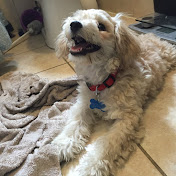 Profile Picture of Ray Munoz (@raymunoz8495) on Youtube