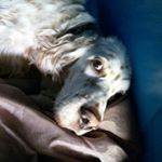 Profile Picture of Jolynn Williams (@ittiebug_) on Instagram