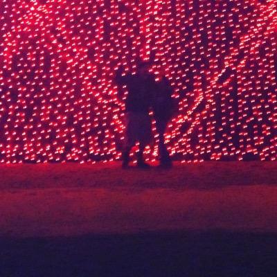 Profile Picture of Tim Garcia (@TGarcia_24) on Twitter