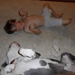 Garrison Boehl - Instagram Profile Picture of Garrison Boehl (@boehlgarrison) on Instagram