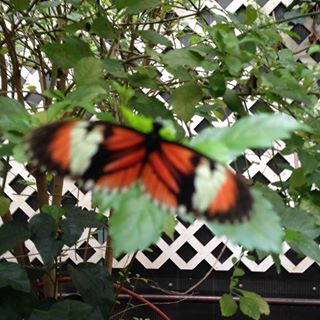 Profile Picture of Ruth Barker (@ruth.barker.754) on Facebook