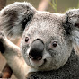 Profile Picture of aaron31649 (@@aaron31649) on Tiktok