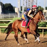 Profile Picture of Lindsey Hebert (@lindsey_kate17) on Instagram