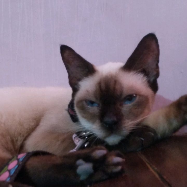 Profile Picture of ramyeon (@hee_sim) on Tiktok