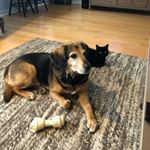 Profile Picture of Nathan Hemming (@natesgr8r) on Instagram