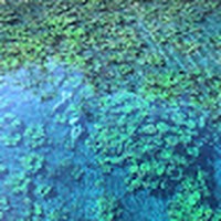 Profile Picture of Chris Bogart (@chris-bogart-21) on Quora