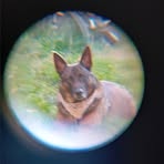 Profile Picture of Arek Ritter (@Arek-Ritter) on Facebook