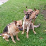 Profile Picture of David Piva (@omar2nd_) on Instagram