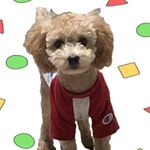 Profile Picture of 조황금🐾 (@j.hwanggeum) on Instagram