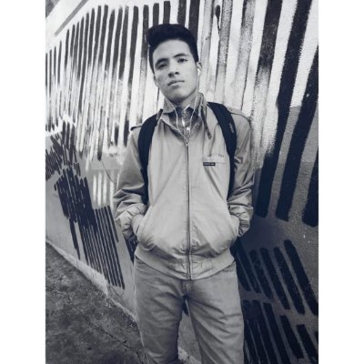 Profile Picture of Bryan Constantino (@Bryanco77466062) on Twitter