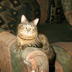 James Kastrick - Facebook Profile Picture of James Kastrick (@james.kastrick) on Facebook