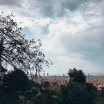 Profile Picture of Toni Phillips (@stagowaralfact911) on Instagram