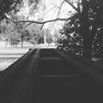 Profile Picture of Typing... (@brianna_peterson_08) on Instagram