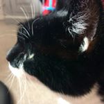Profile Picture of Chloe Davey (@chloe_davey_06) on Instagram