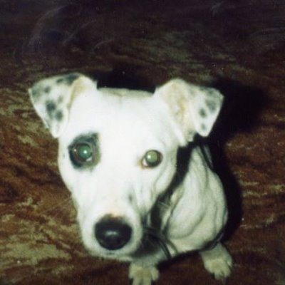 Profile Picture of Travers Curtis (@TraversCurtis) on Twitter
