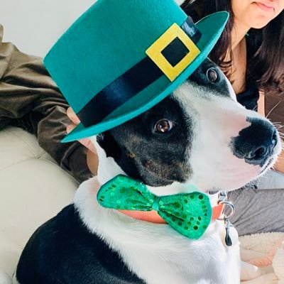 Profile Picture of Lindsay Badger (@lindsaybadger2) on Twitter