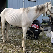 Profile Picture of Lisa McConathy (@mcconathyhorserescueteam) on Youtube