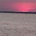 Profile Picture of James Baur (@baur3369) on Pinterest