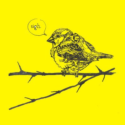Profile Picture of Jenny Robins (@jennyrobins) on Twitter
