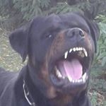 Profile Picture of Michael Stepniewski (@michaelstepniewski) on Instagram