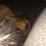 Profile Picture of Reda Paul (@zaibukasreda) on Instagram