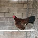 Profile Picture of Felix Gallos (@Felix-Gallos) on Facebook