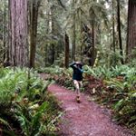 Profile Picture of Collin Lattanzio (@diablos_photography) on Instagram