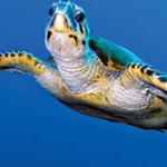 Profile Picture of Daniel Kirkland (@skinnnnny_legend) on Instagram