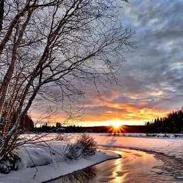 Profile Picture of RAFAEL SOCIAS ALZAMORA (@AlzamoraSocias) on Twitter