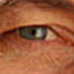 Profile Picture of Joe Bright (@joebrightest1) on Flickr