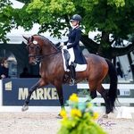 Profile Picture of Kim McGrath (@sunset_hills_dressage) on Instagram
