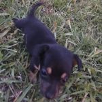 Profile Picture of Jillian (@_jillian_paige_gorman_) on Instagram