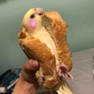 Profile Picture of Trashvïs (@TravisButHorny) on Twitter