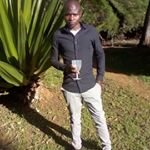 Profile Picture of Jose Mayo (@josemayo298) on Instagram