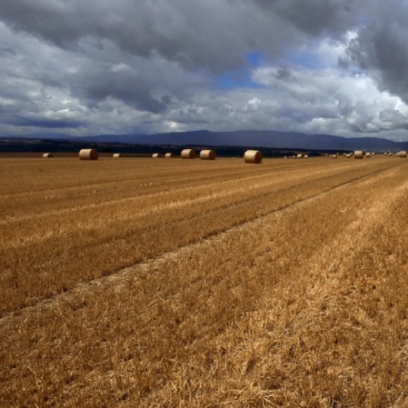 Jacquelyn Clements - Poshmark Profile Picture of Jacquelyn Clements (@jacquelyncl215) on Poshmark