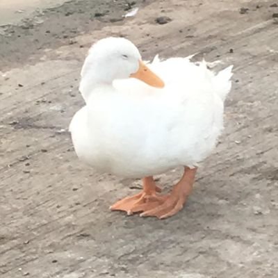 Profile Picture of Genesis Rendon (@GenesisRendon11) on Twitter