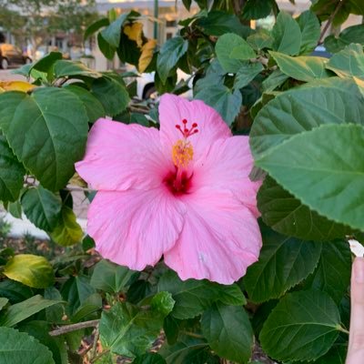 Profile Picture of Amelia McCarthy (@ameliapmccarthy) on Twitter