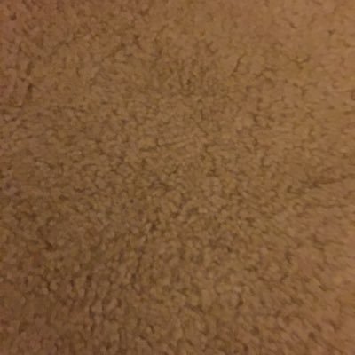 Profile Picture of ЅᎯℬᎯ (@Niktash2) on Twitter