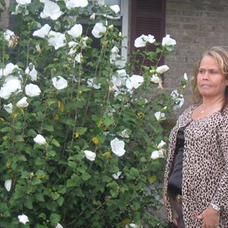 Profile Picture of Lora Bowling (@lora.bowling.90) on Facebook