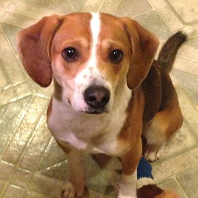 Profile Picture of PAMELA CHASE (@fortunachase) on Twitter