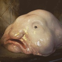 Kaleb Larson - Quora Profile Picture of Kaleb Larson (@kaleb-larson) on Quora