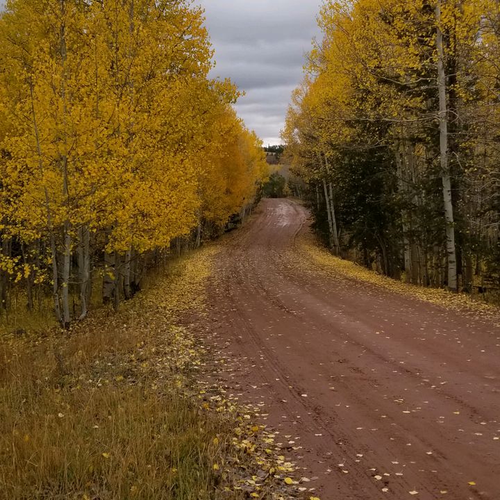Profile Picture of Michael Trank (@michaeltrank) on Tiktok