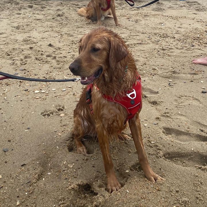 Profile Picture of CONNIE HOLBERT (@connieholbert4) on Tiktok