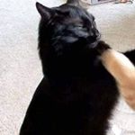 Profile Picture of Ivan Peralta (@ivanperalta7) on Instagram