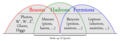 Profile Picture of Hadron - Wikipediaon Wikipedia