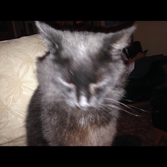 Profile Picture of Roberto Feed (@robero5) on Poshmark